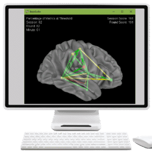 BrainSurfer